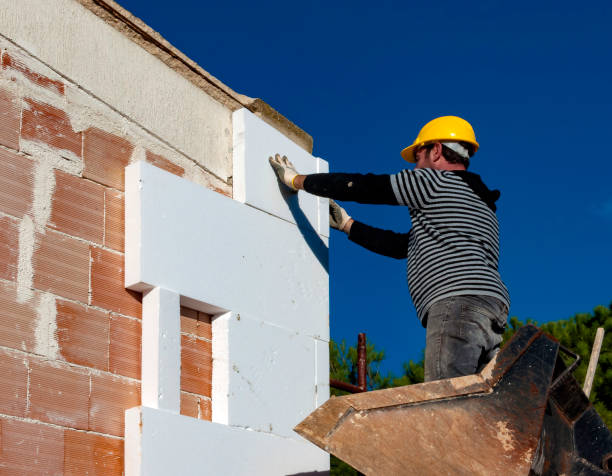 Best Insulation Installation Services in Paloma Creek, TX