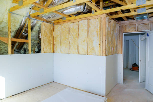 Best Types of Insulation in Paloma Creek, TX